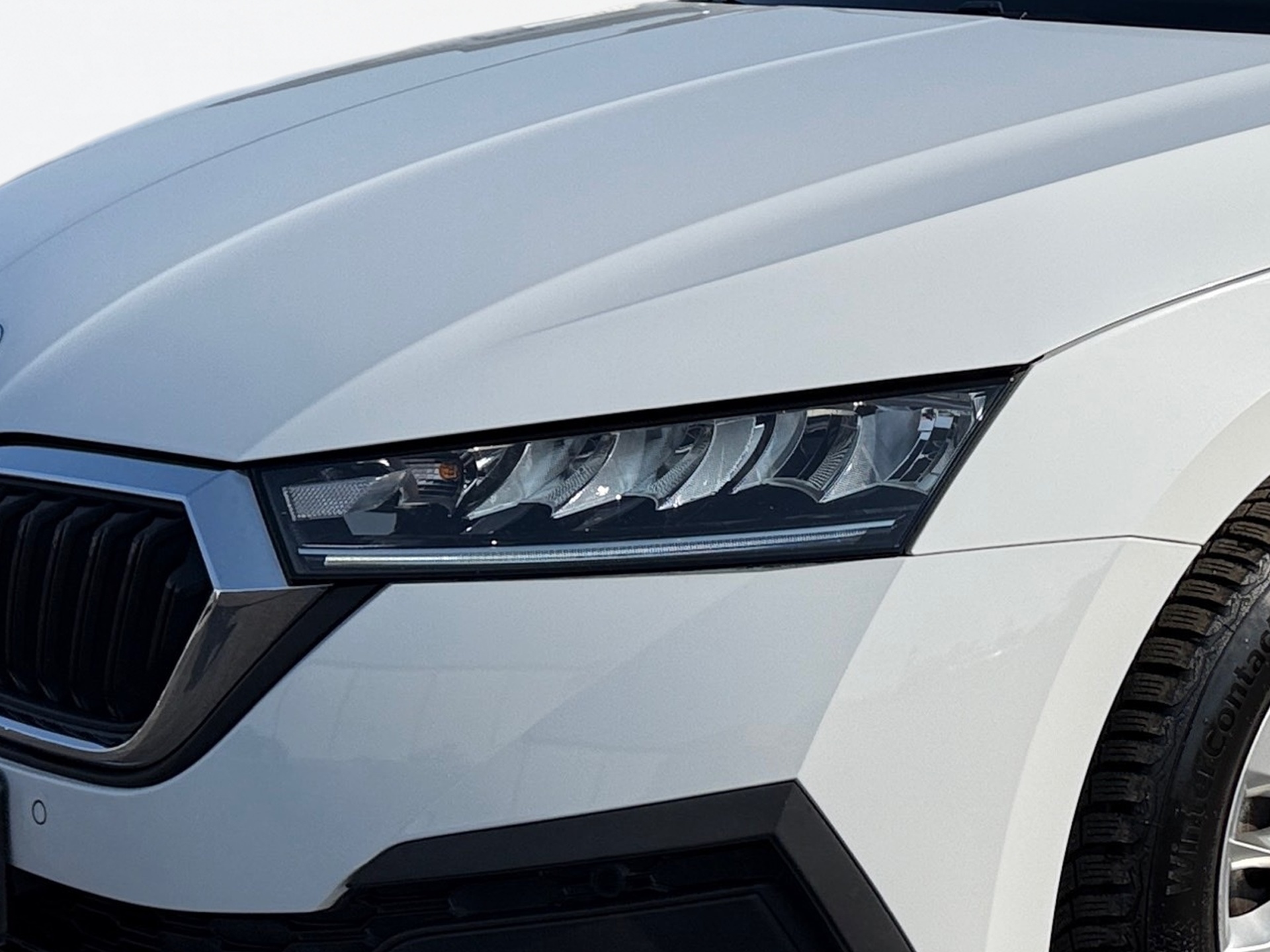 69afd6df752d0d449d887718